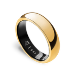 24k Gold | Titanium | 6mm