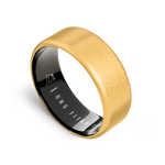 24k Gold | Titanium | 8mm