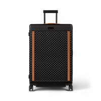 CHECKED LUGGAGE